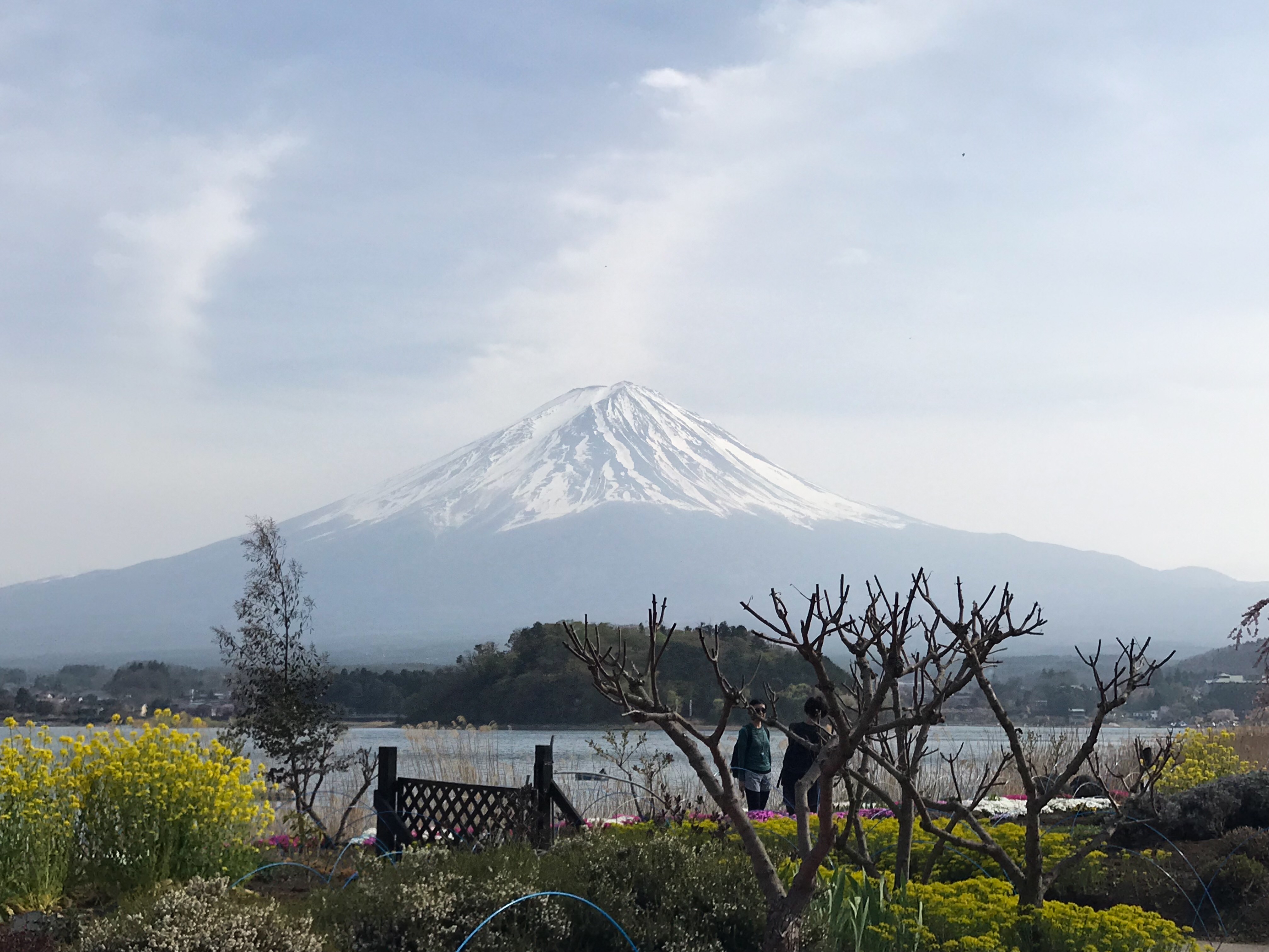 412175C2-55D6-4D69-A798-096B405F2D13.jpeg