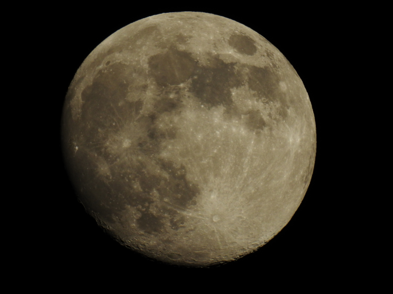 miniDSCN0891.JPG