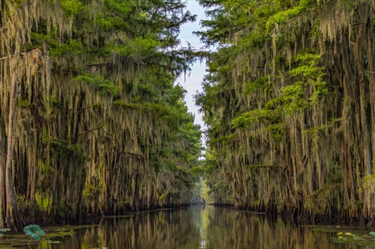 Top-American-Lakes-Caddo3-740x493.jpg