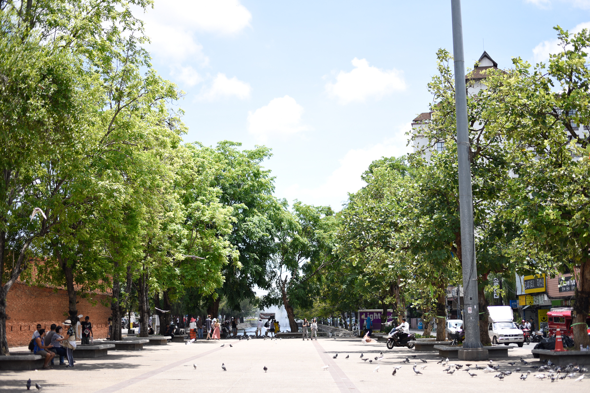 _DSC0787.jpg