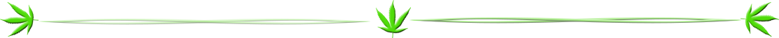 Canna-page-divider2.png