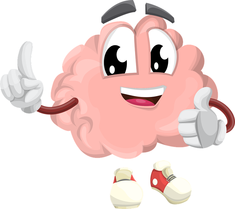 brain-1773885_960_720.png