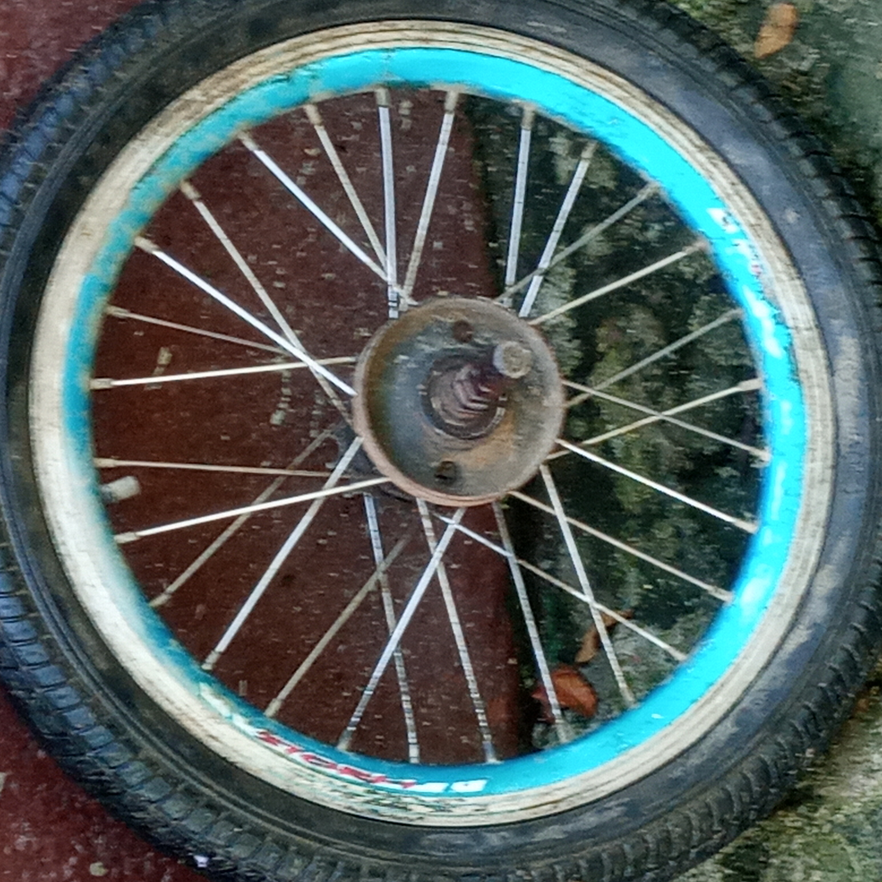 20250129_081521.jpg