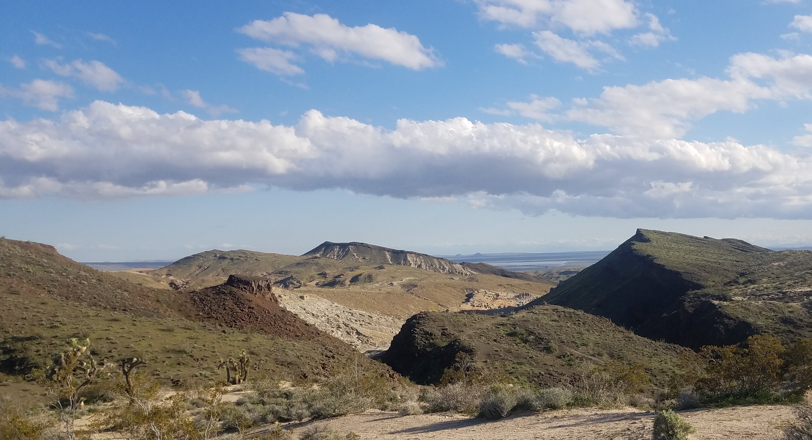 20190327_171910.jpg