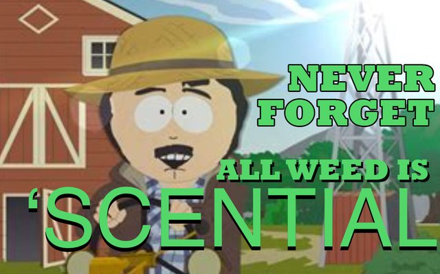 scential.jpg