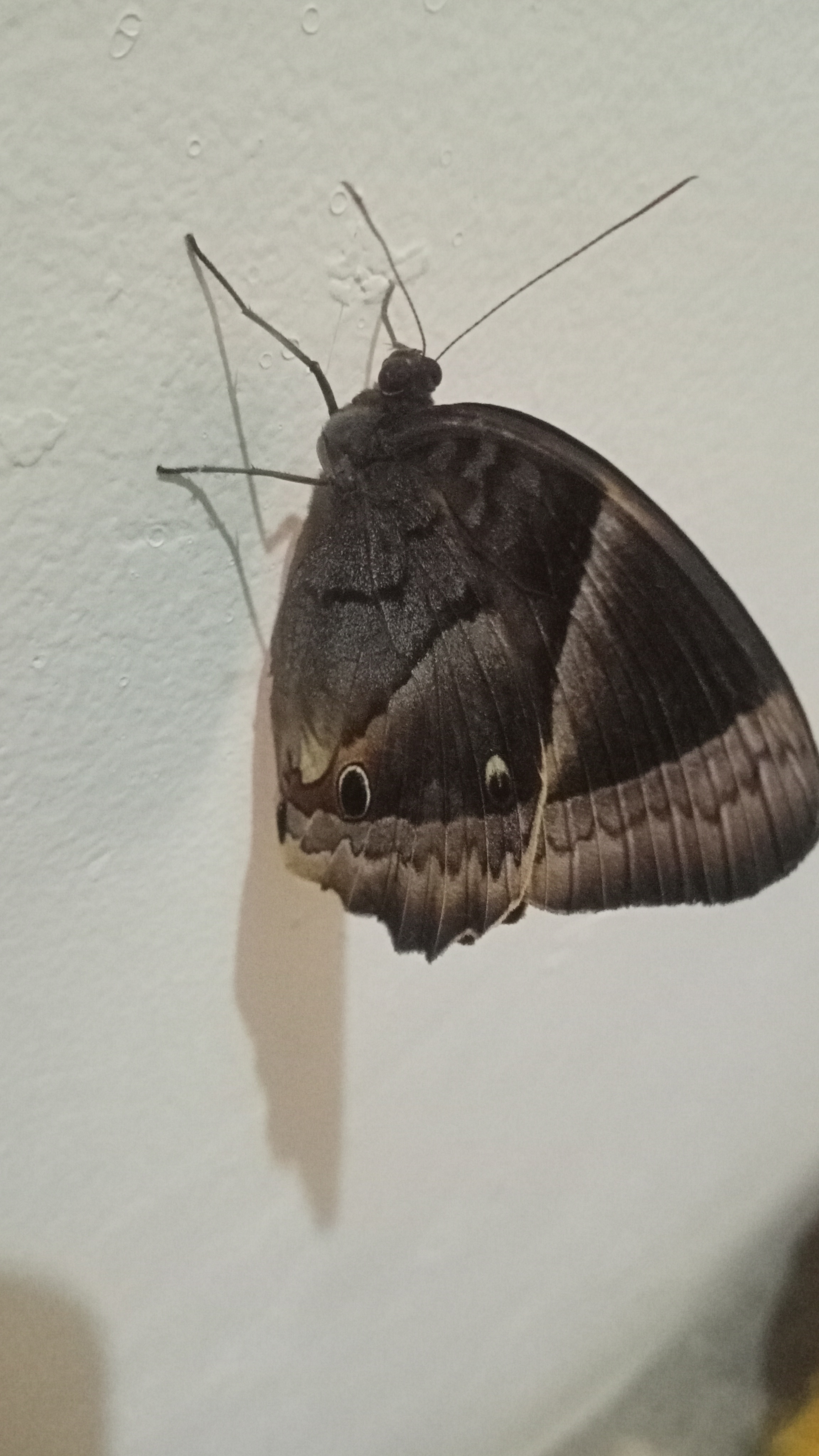 IMG20250531181938.jpg