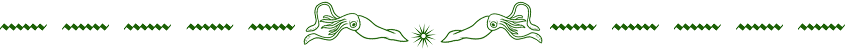 page divider (green-squid).png