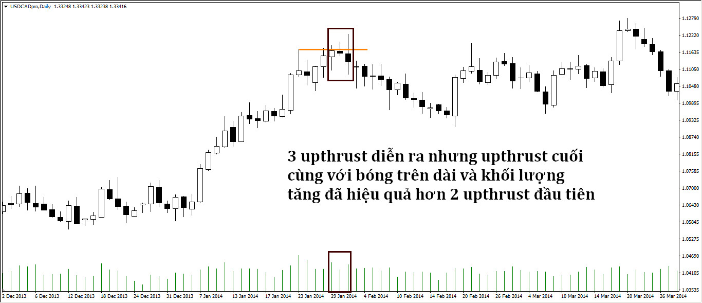 upthrust-la-gi-spring-la-gi (2).jpg
