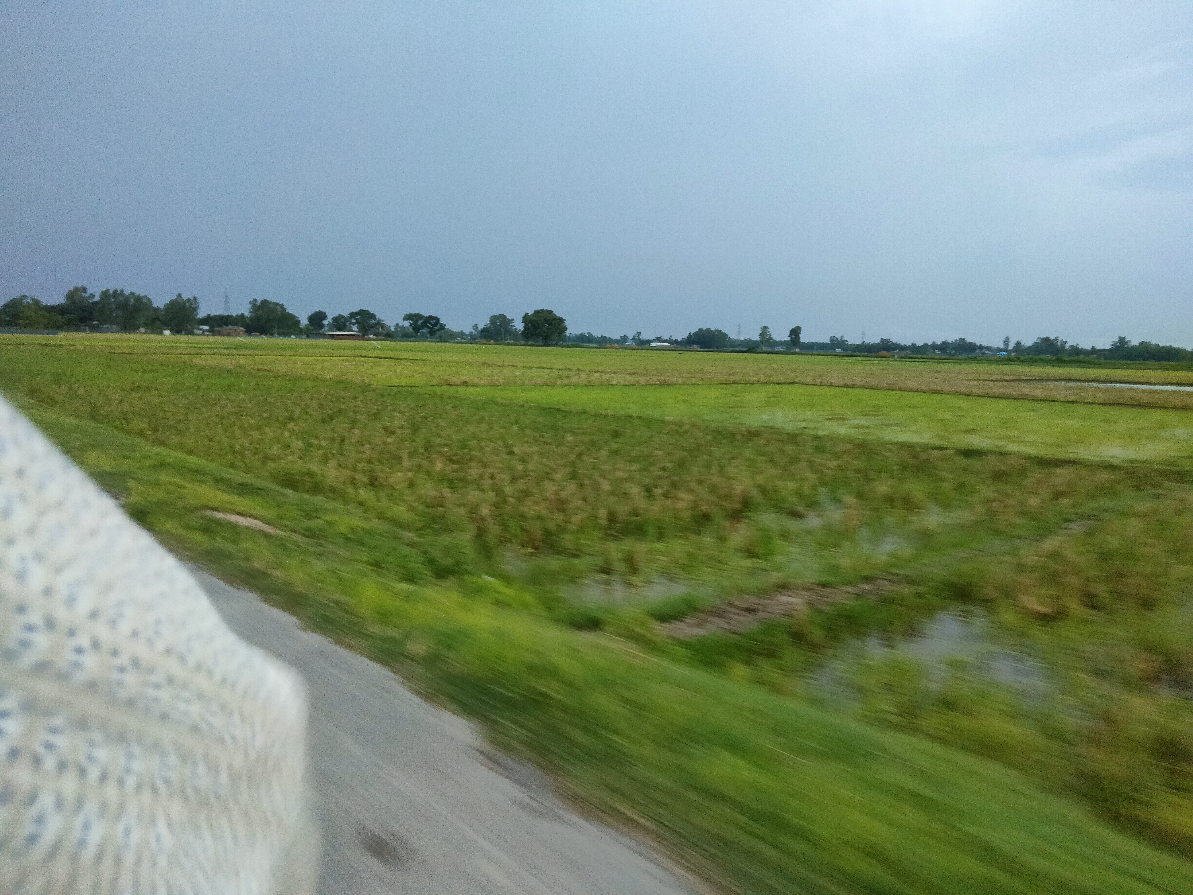 IMG20230629182123.jpg