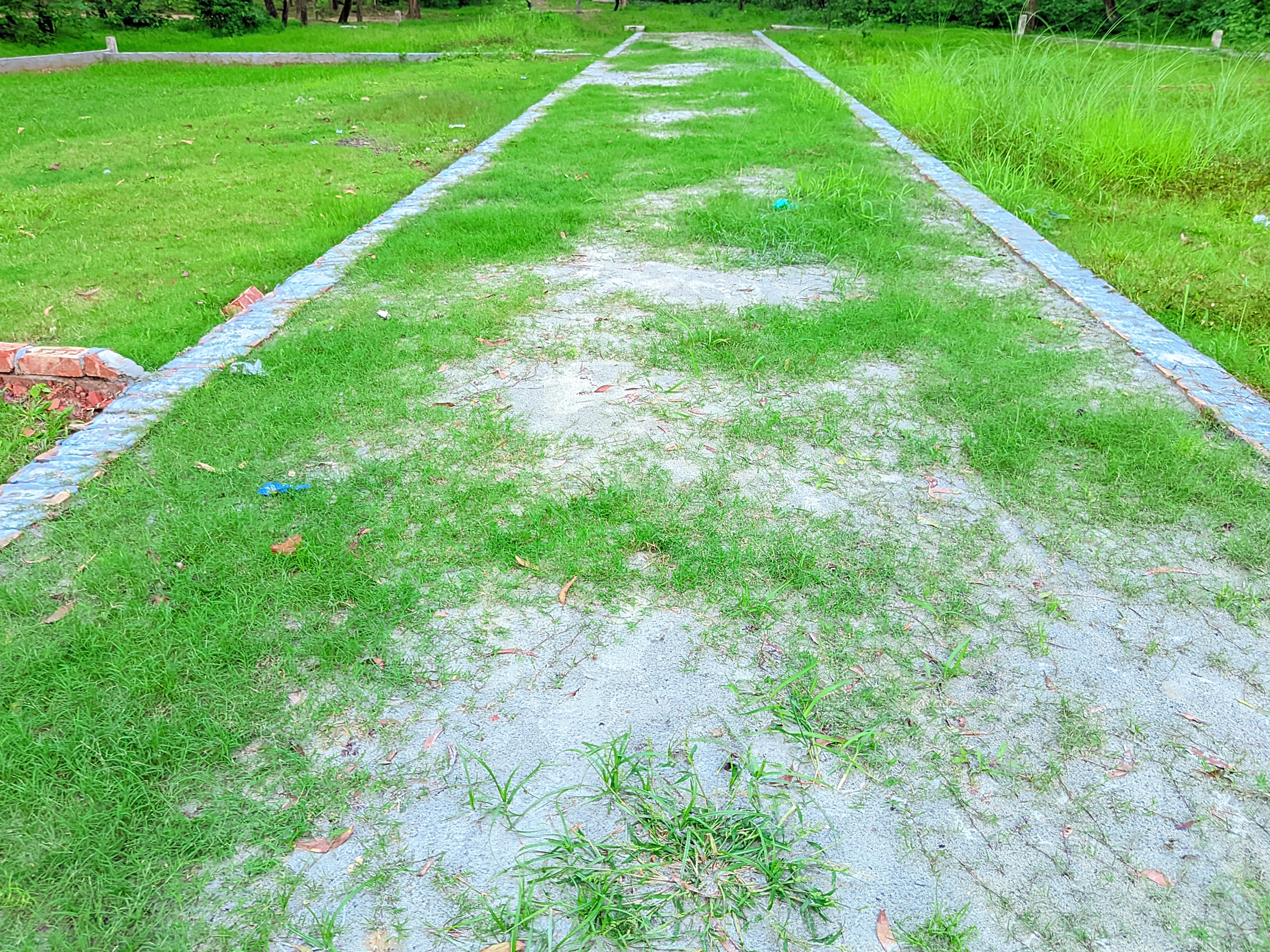 1000028480.jpg