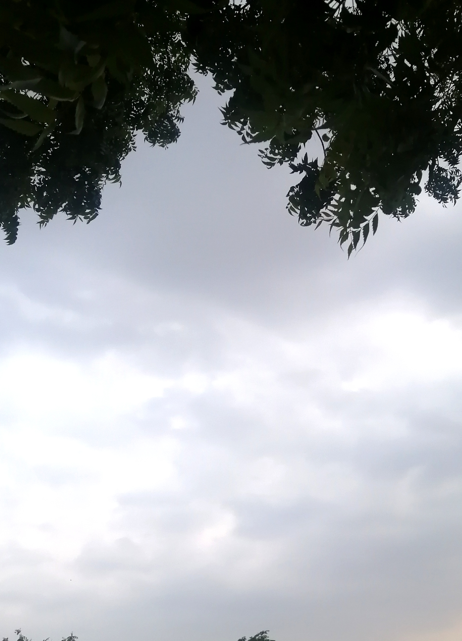 IMG_20200828_190529.jpg
