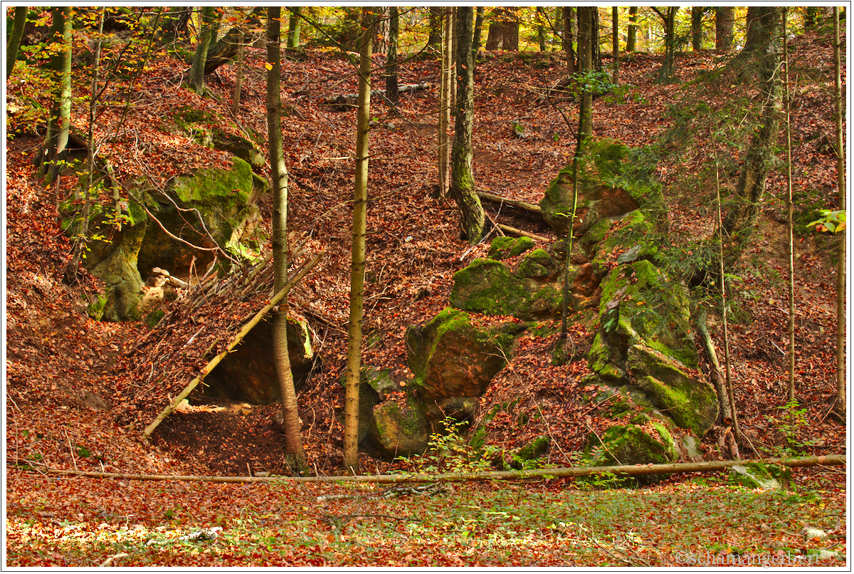 IMG_9466-hdr.jpg
