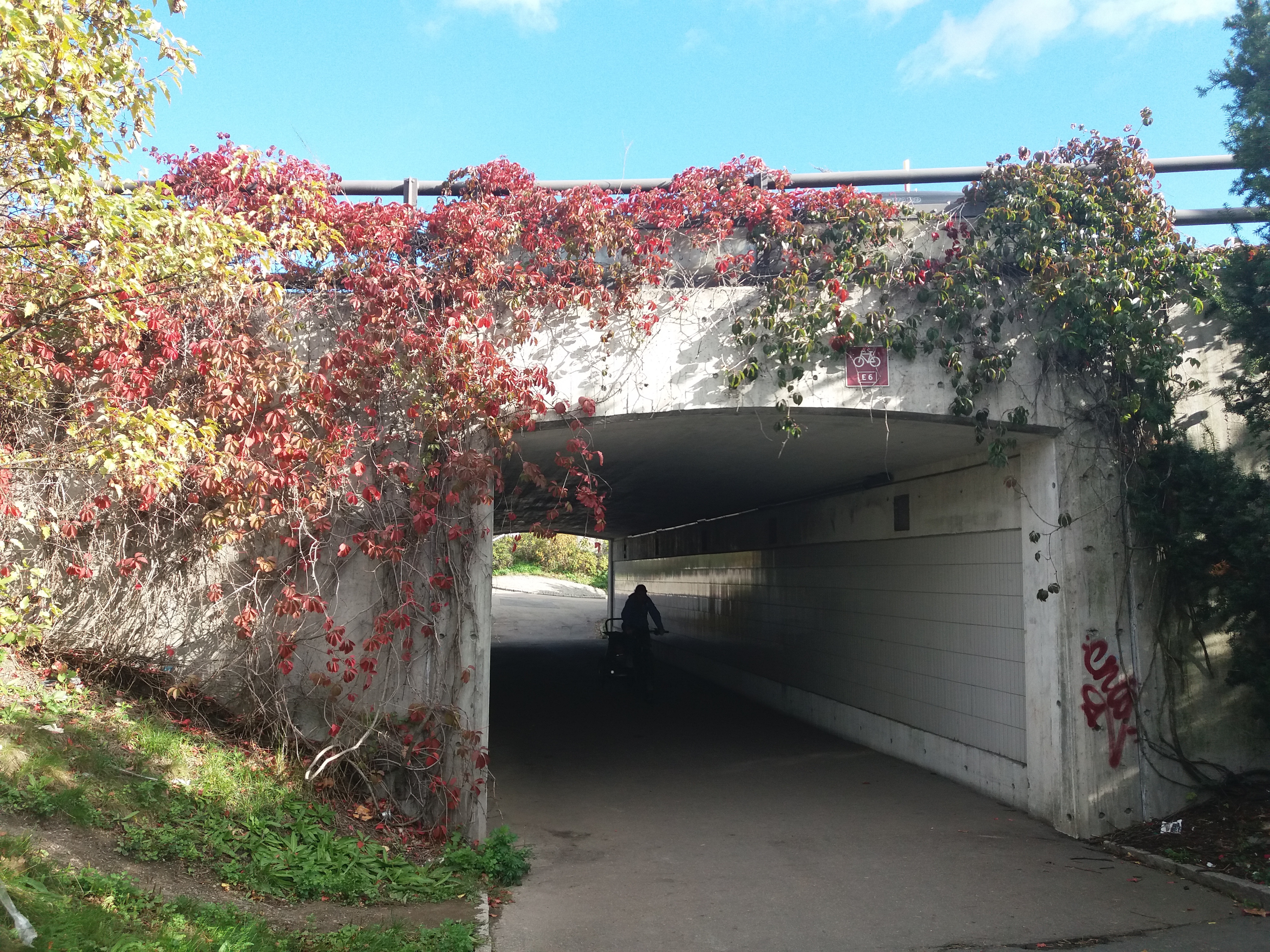 20180930_144332.jpg