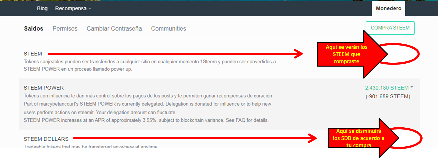BP7 Reflejo en la wallet.png