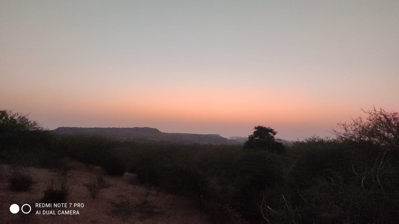 WhatsApp Image 2023-01-24 at 2.17.36 PM (1).jpeg
