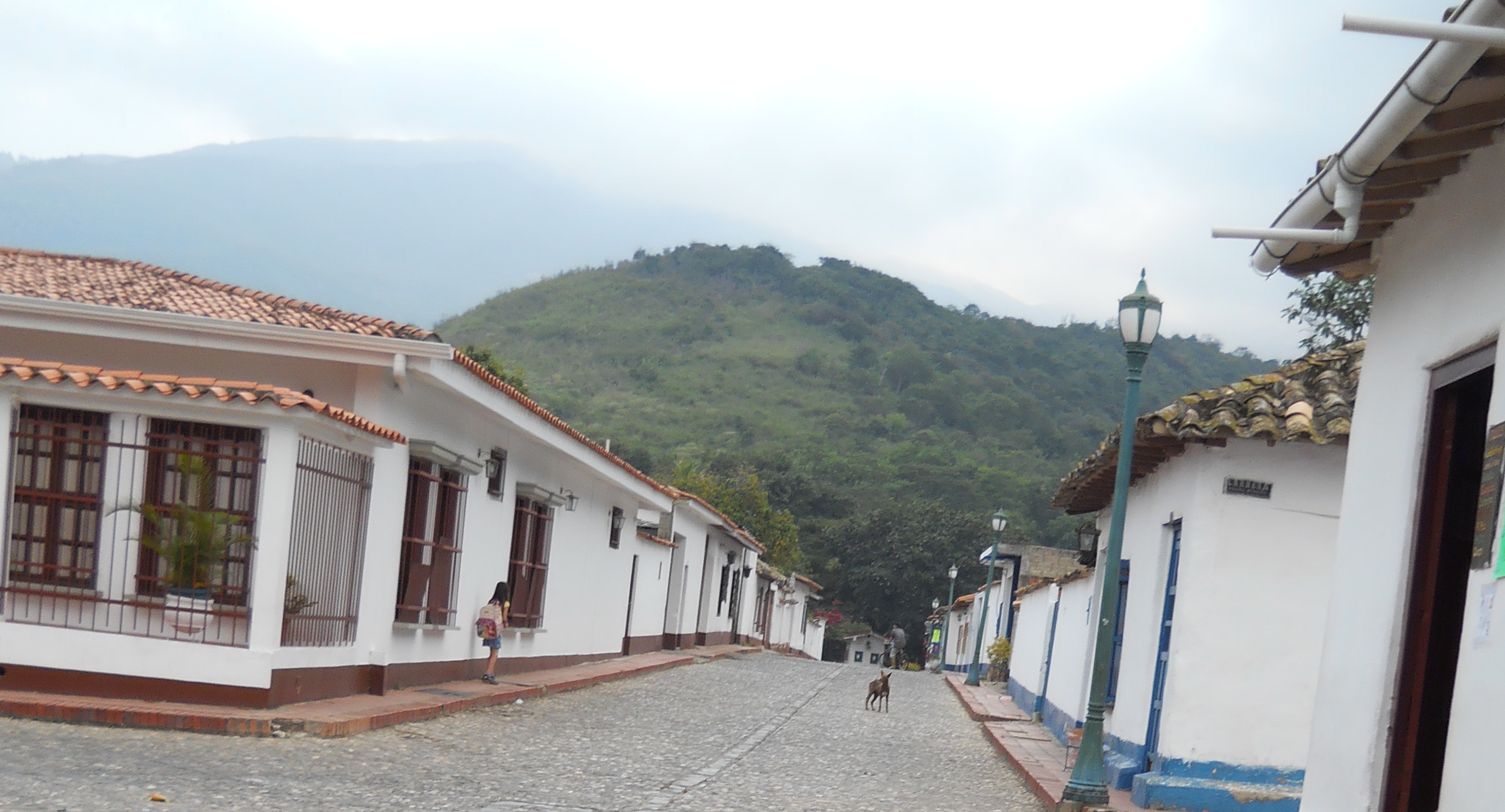 calle.jpg