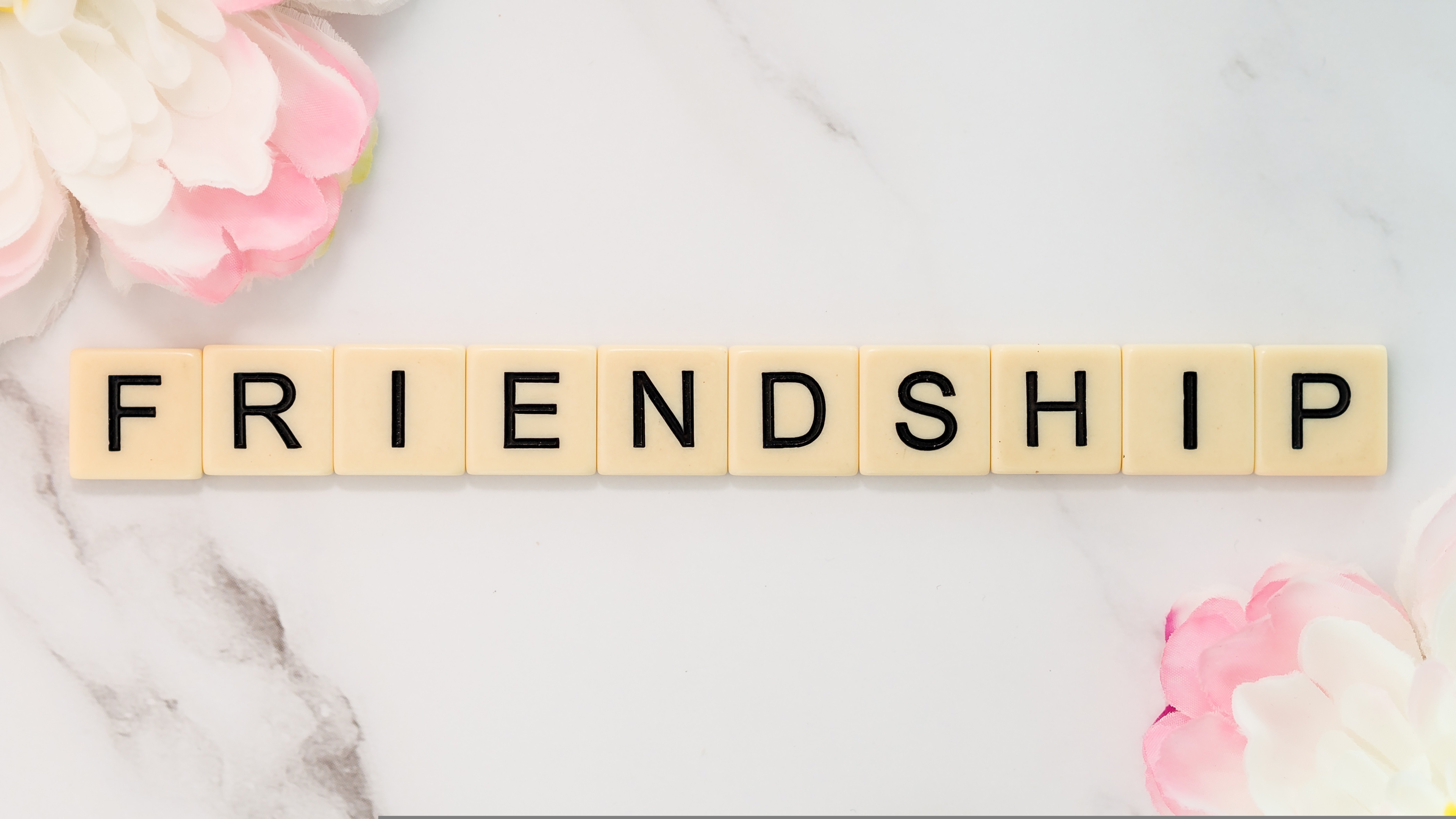 fuzzyrescue-friend-4776159.jpg