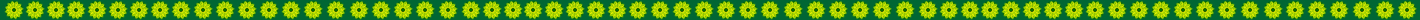 sccf main divider 4.jpg
