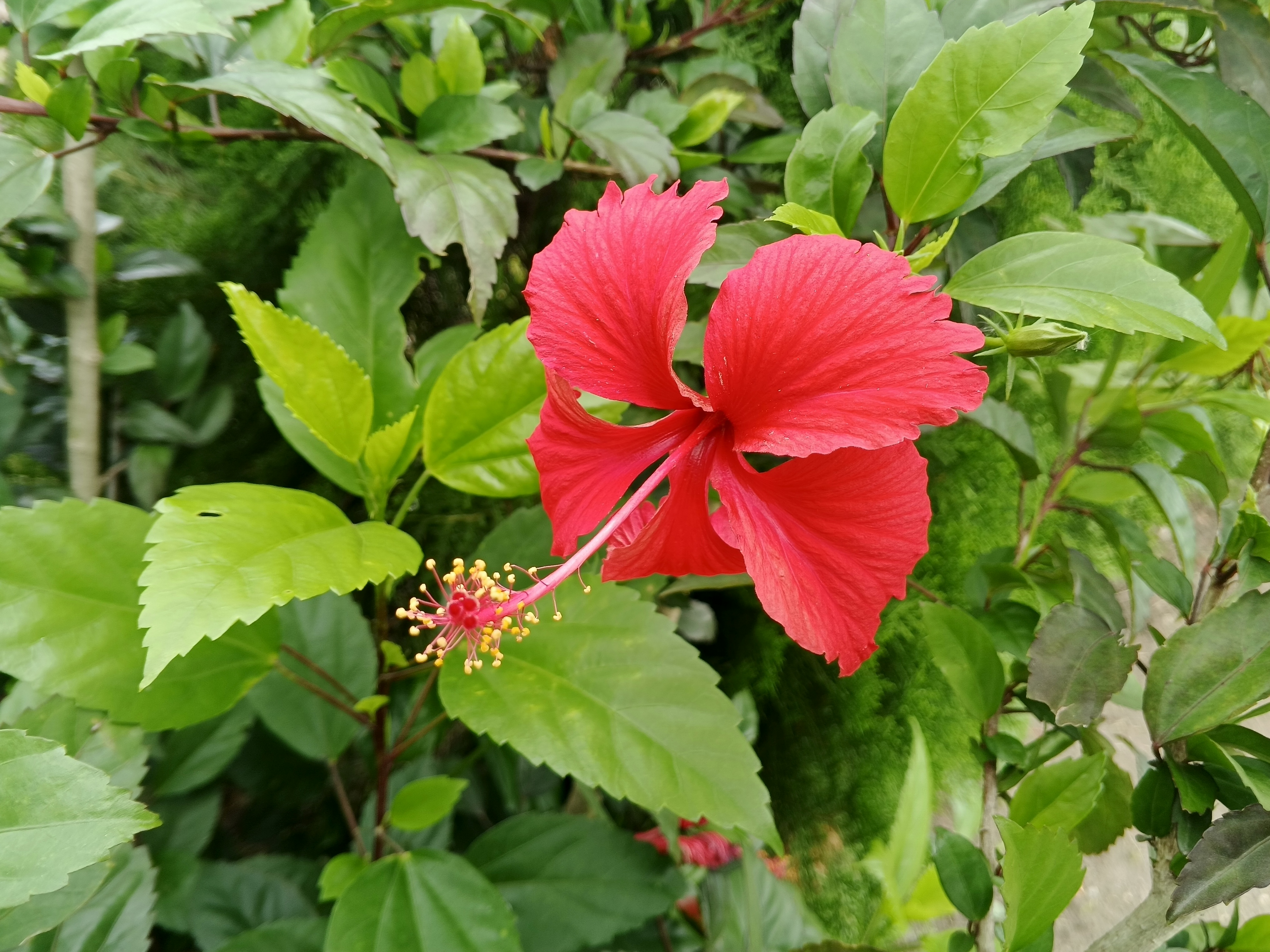 IMG_20260502_112655_099.jpg