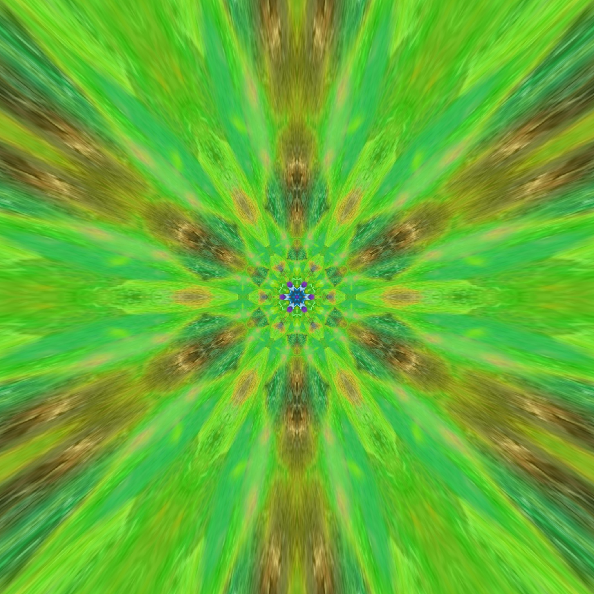 image3A156_mirror90.jpg