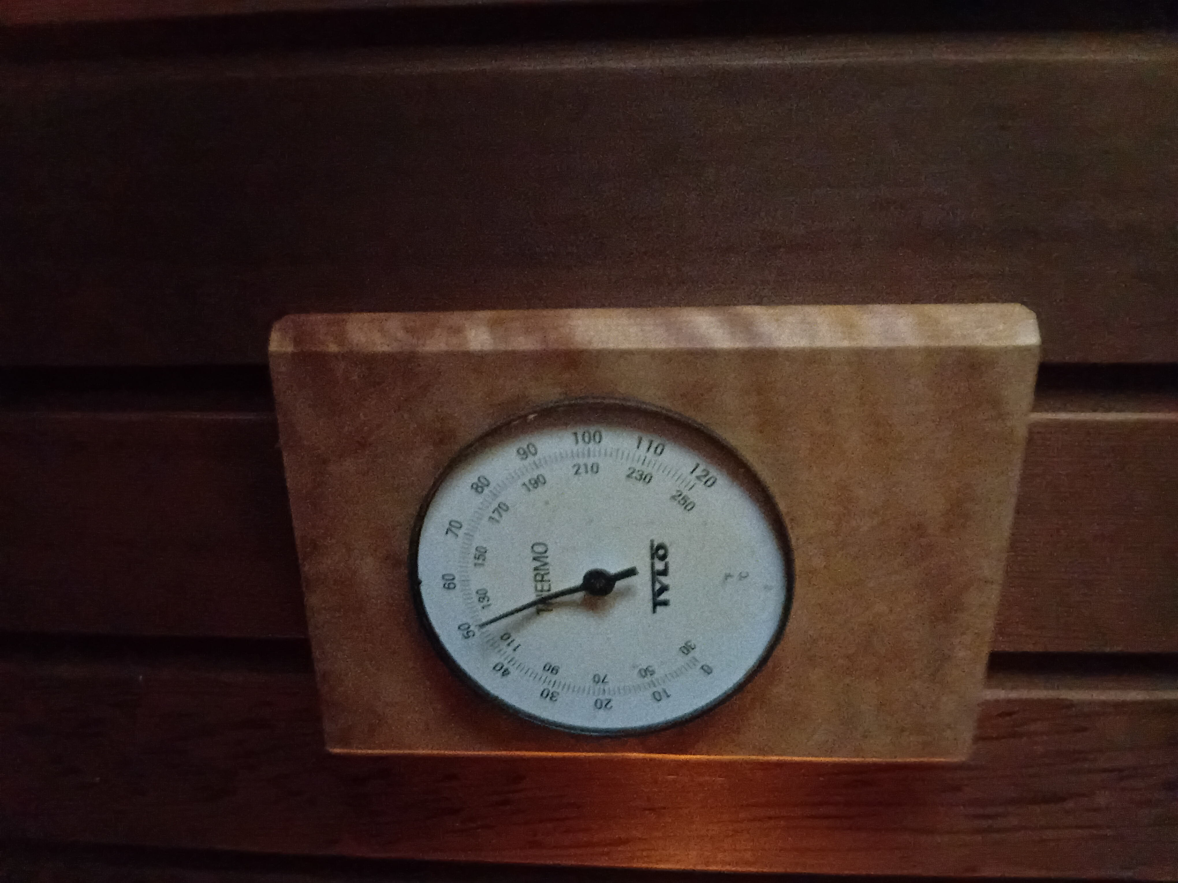 20250910_160855.jpg