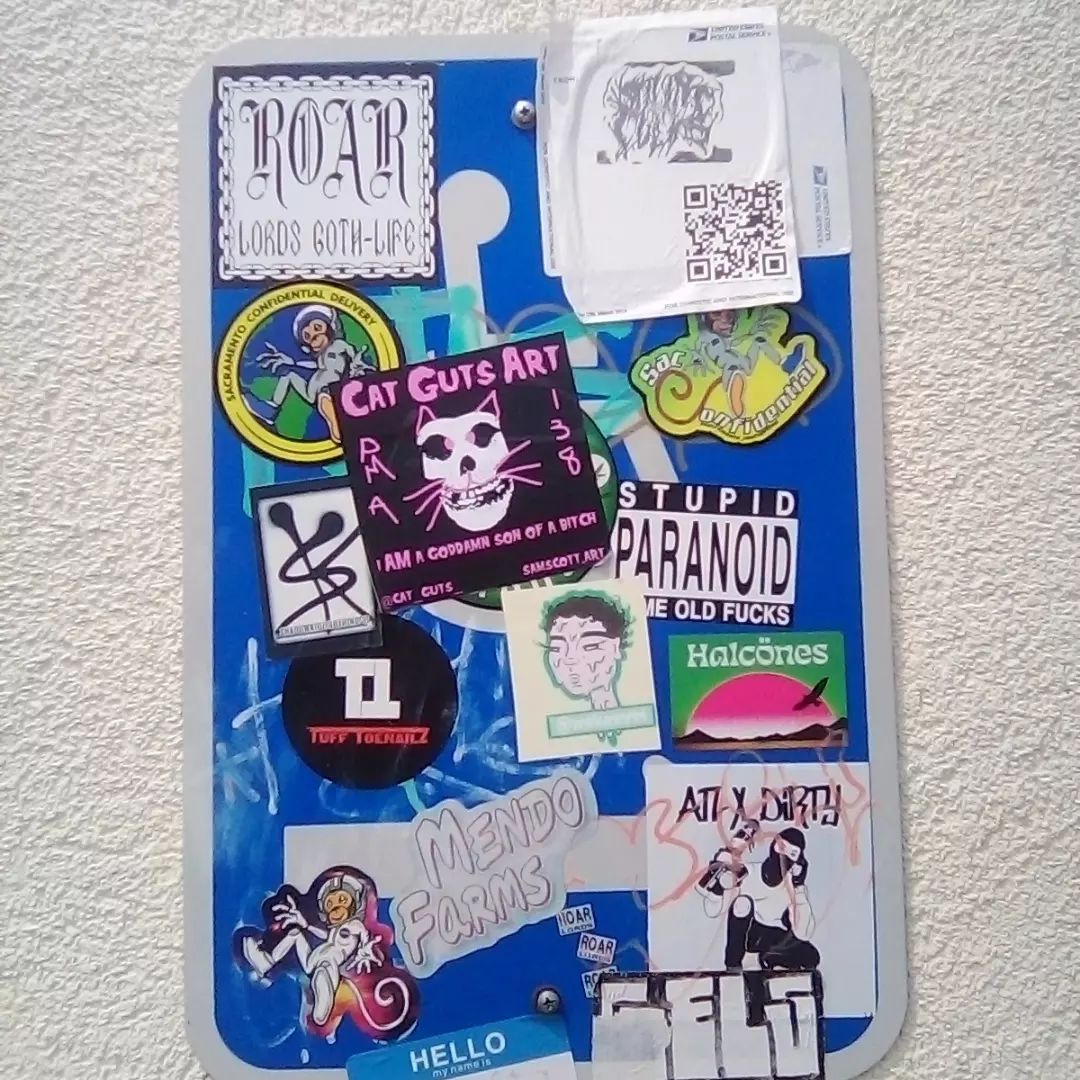 281290344_368372965109884_3182103573159879449_n.webp