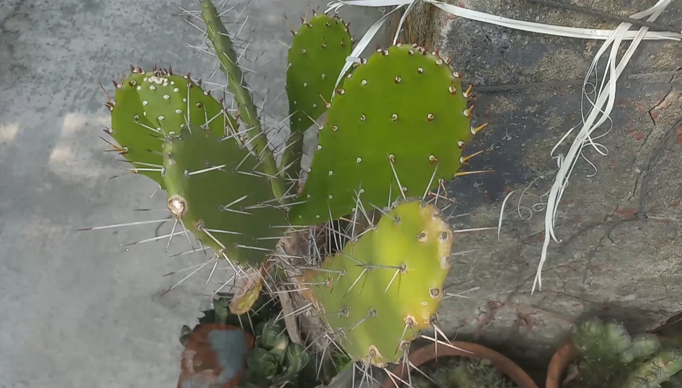 20200707_110727.jpg
