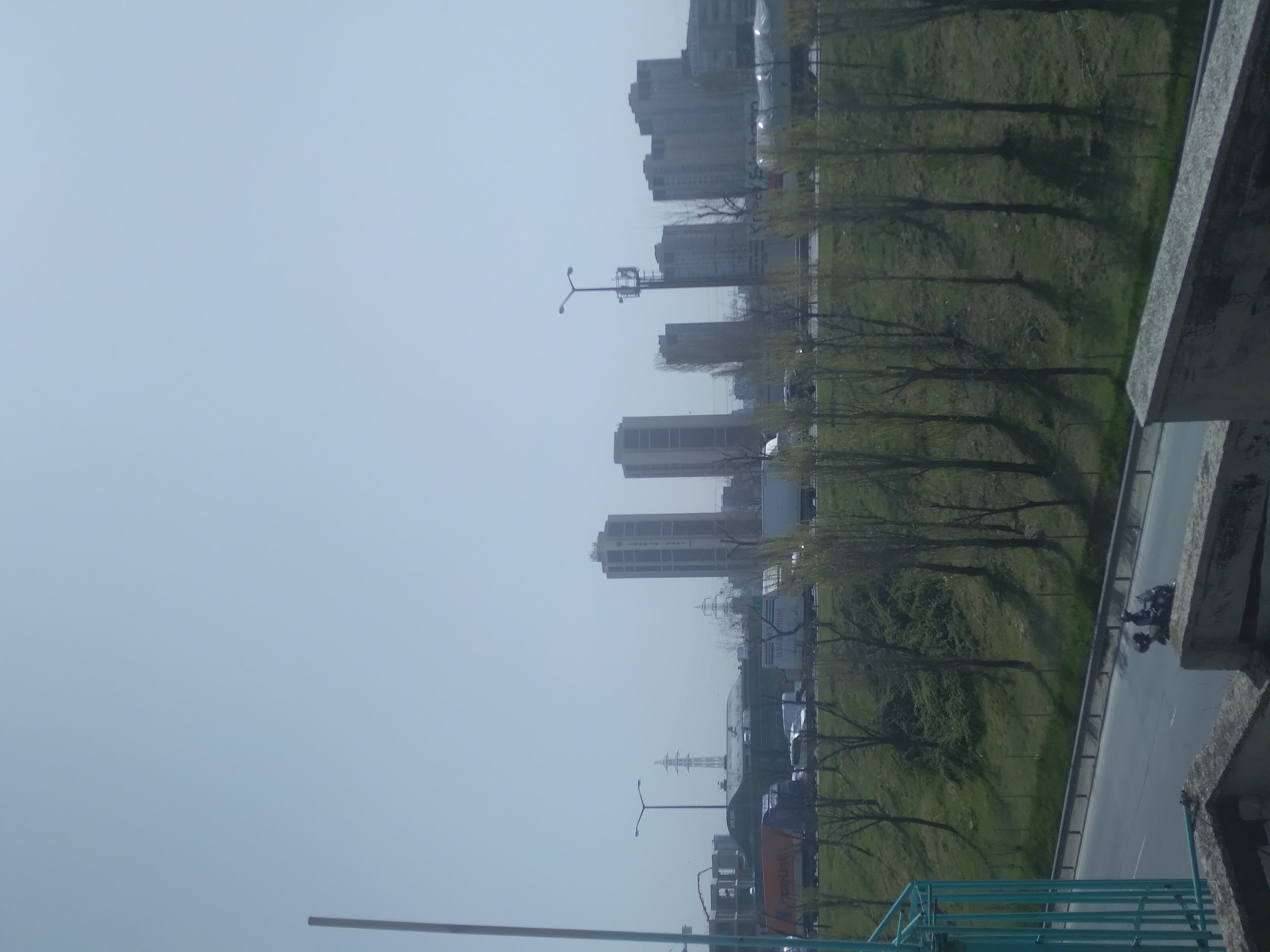 20220415_124925.jpg