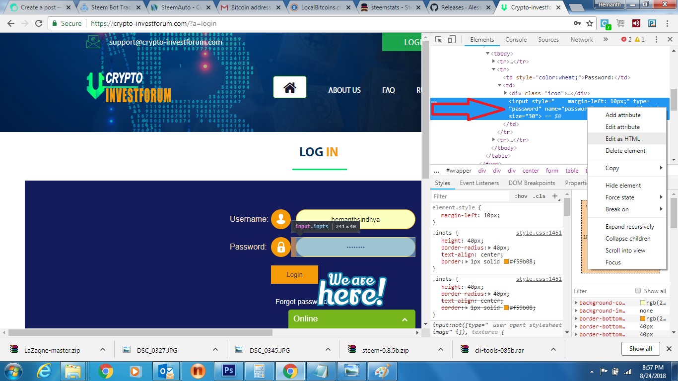 2. Password Visibility inspect element.jpg