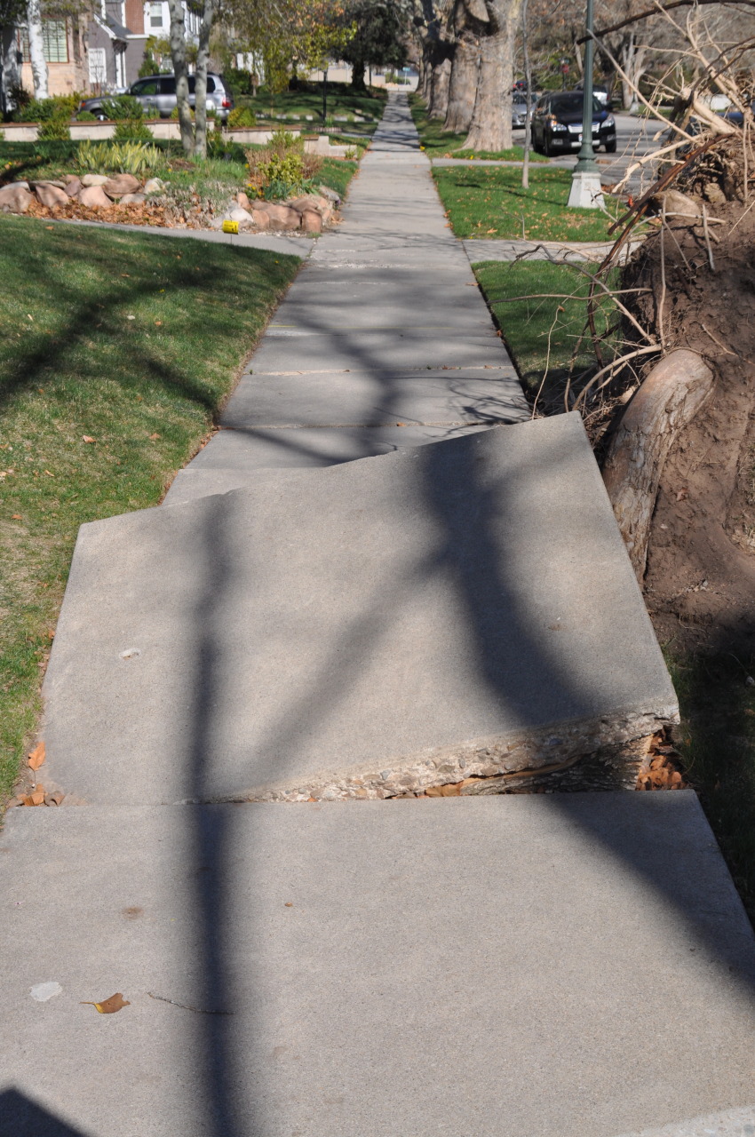 disrupted_sidewalk.jpg
