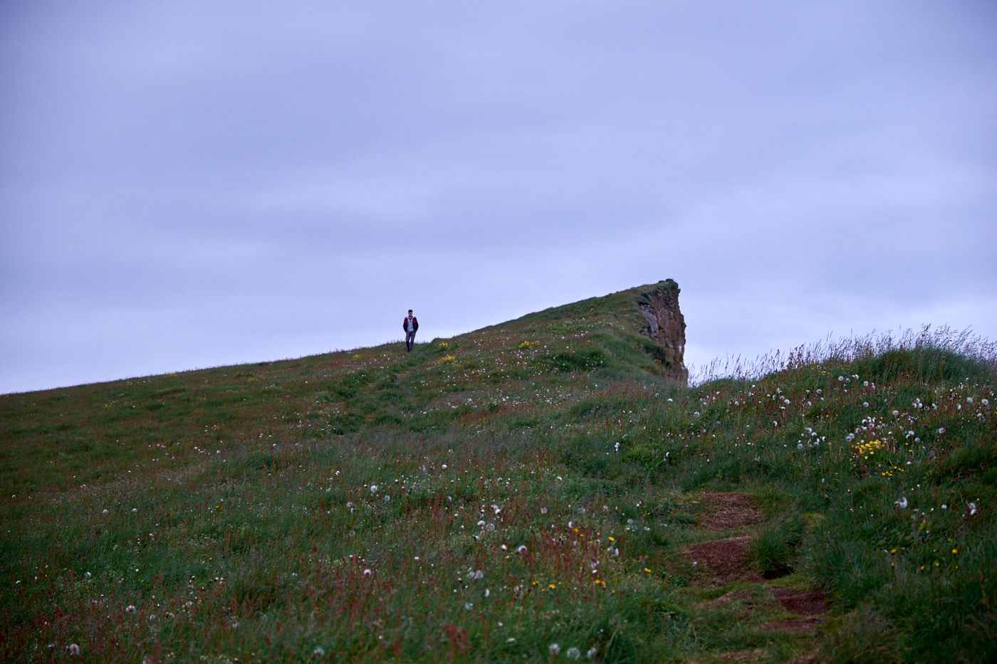 DSCF4653.jpg