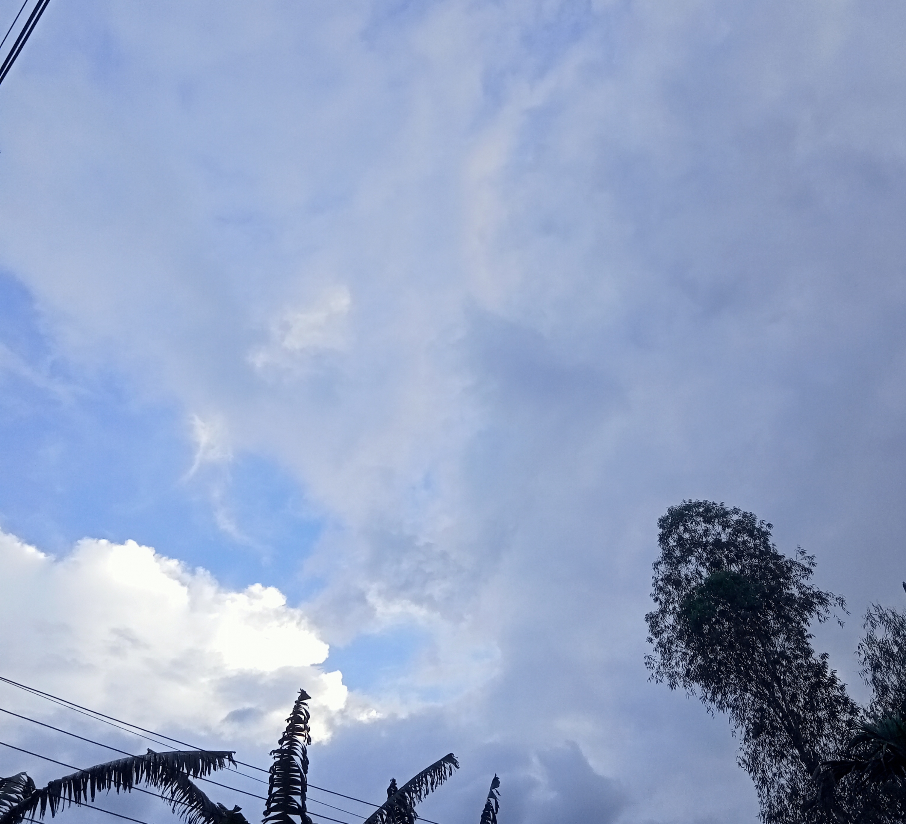 IMG_20260818_164705.jpg