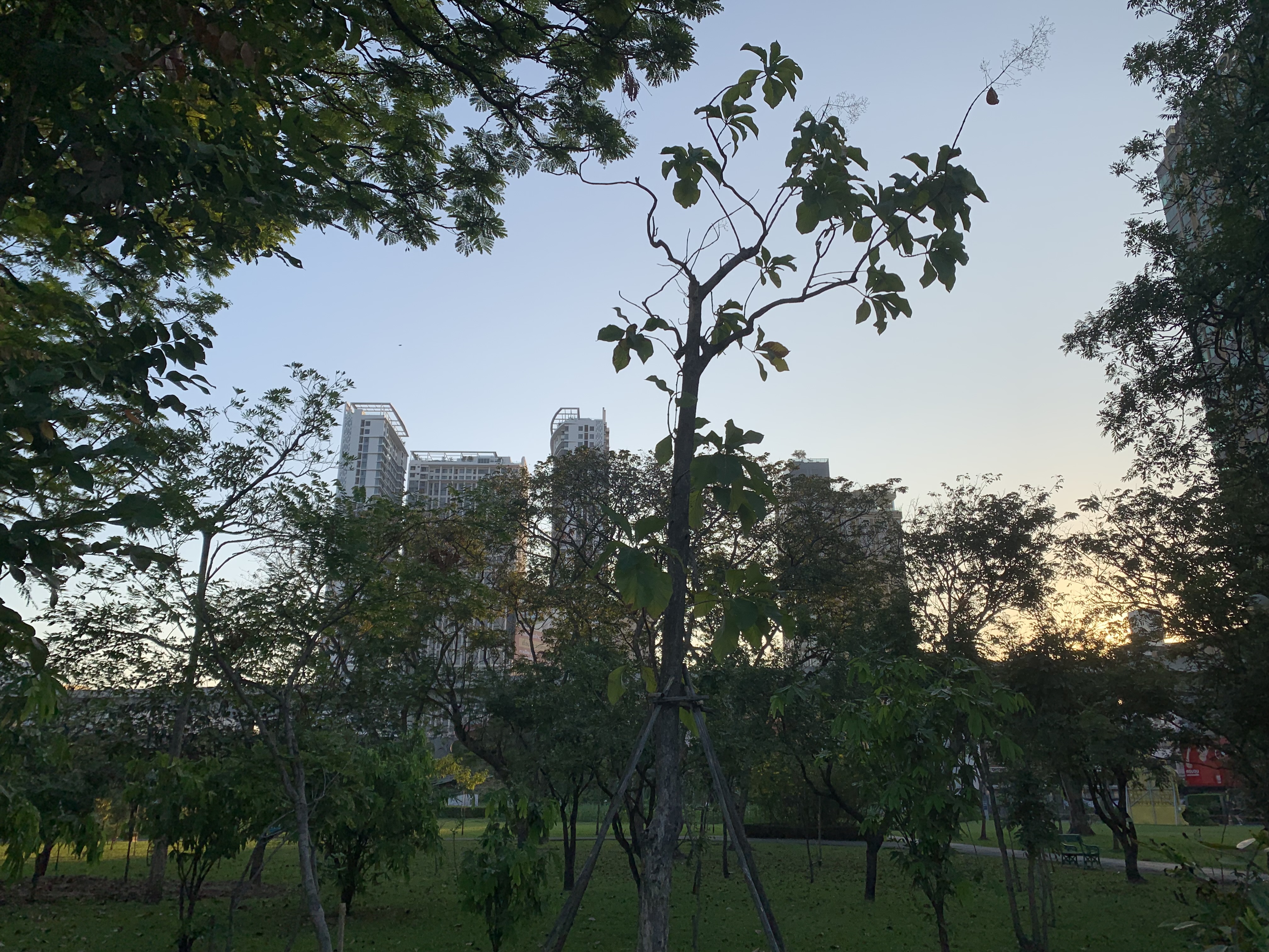 Chatuchak Park211.jpg