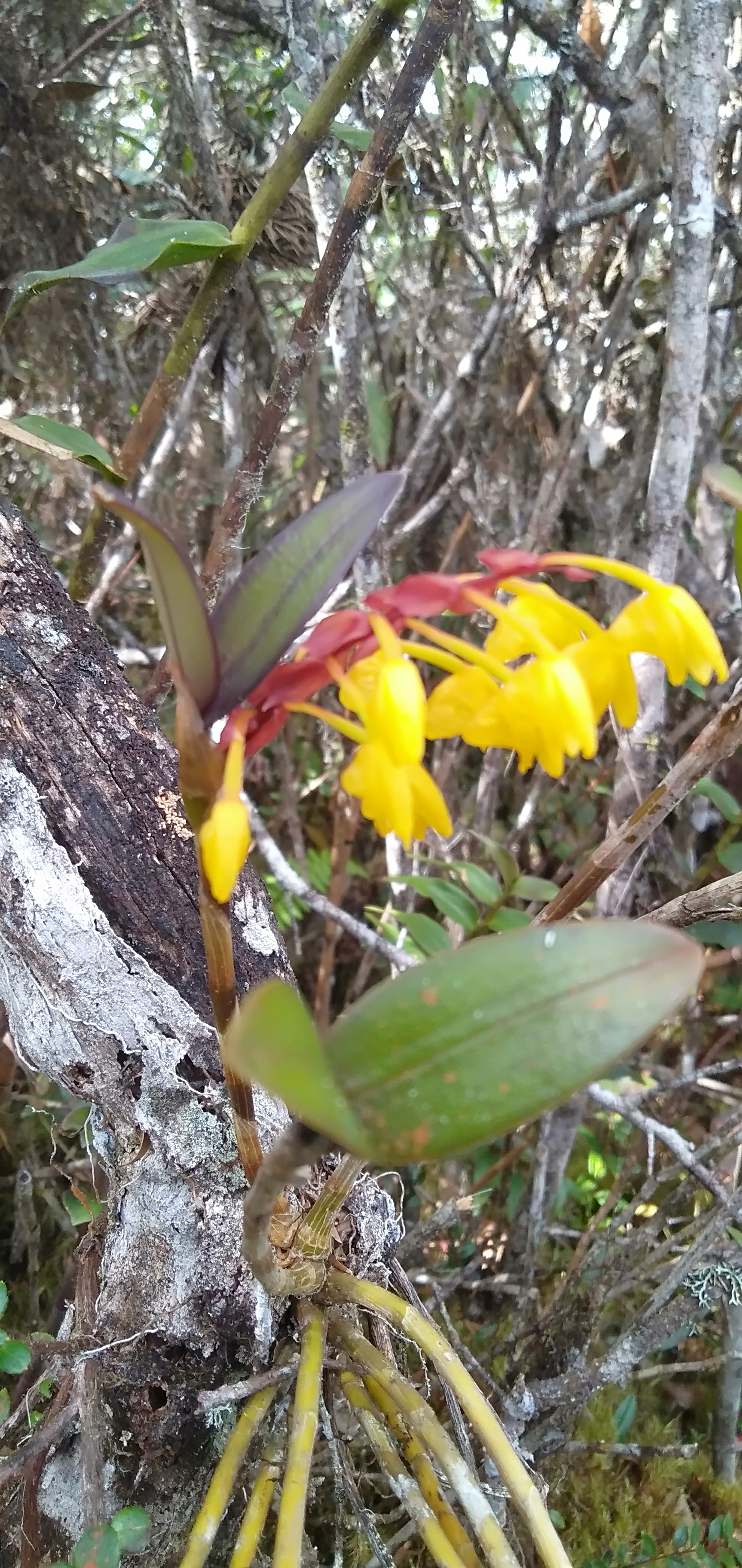IMG20201001100346.jpg