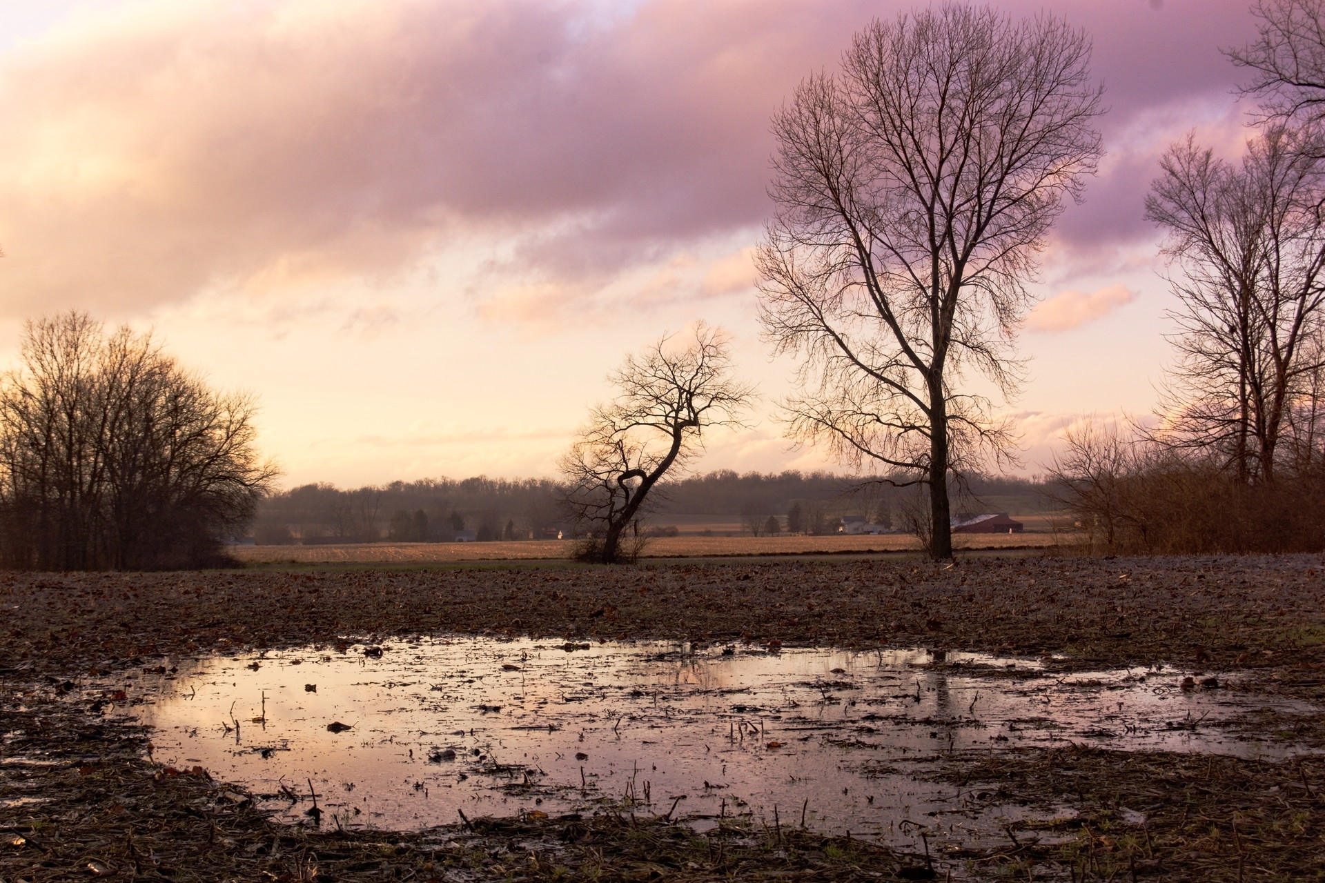 DSC_0883-1.jpg