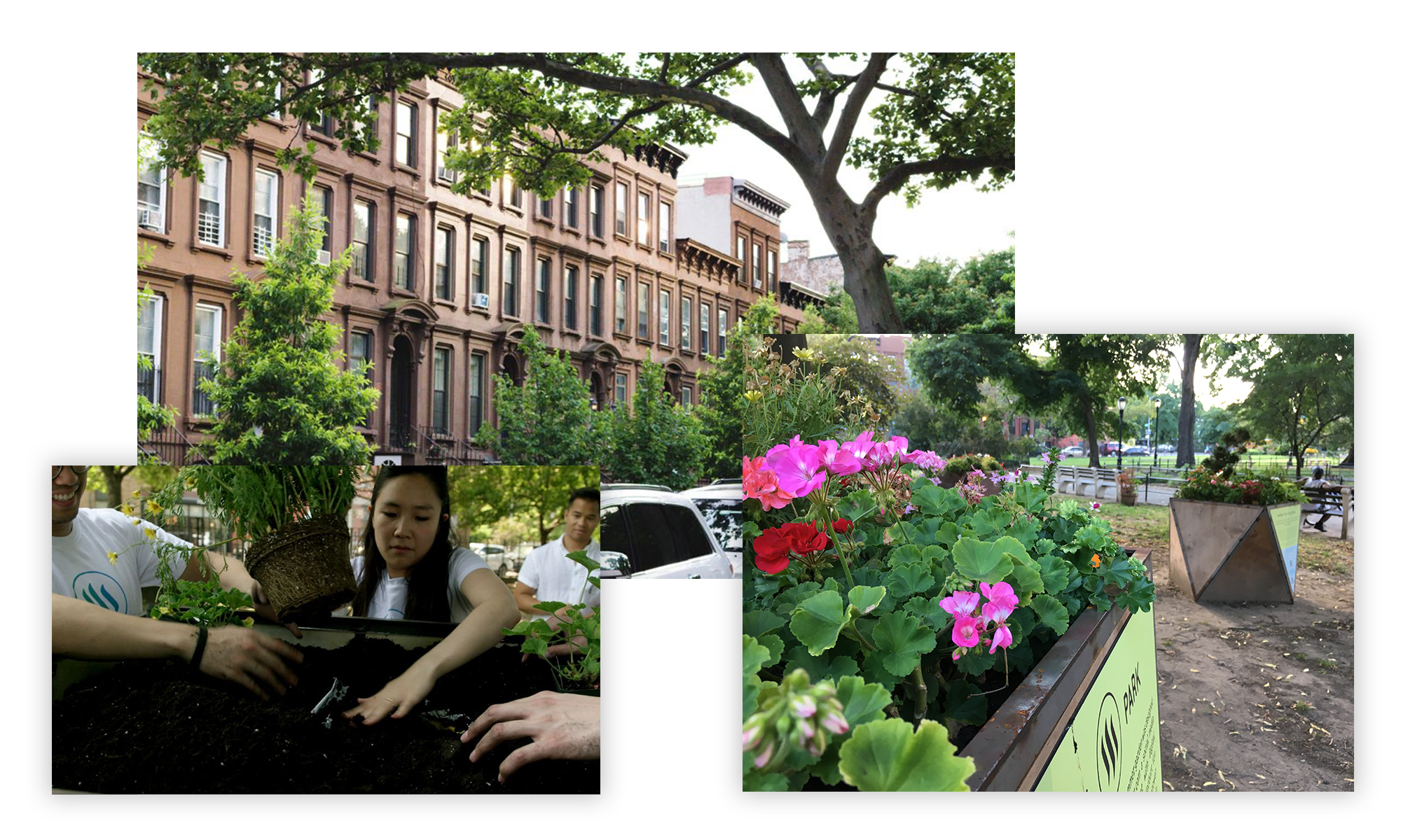 180609 Resiliency Steem Park.png