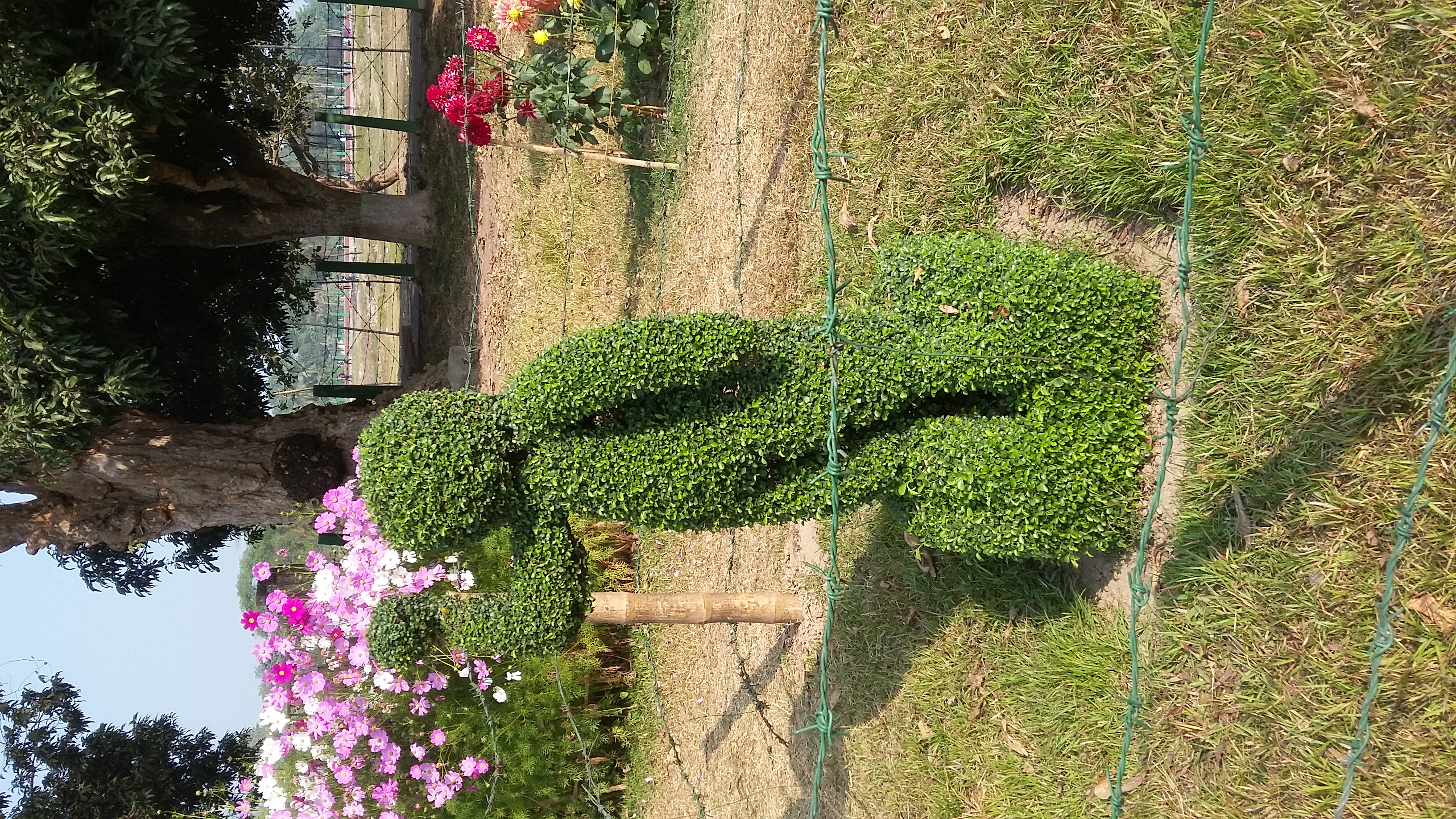 20190130_100150.jpg