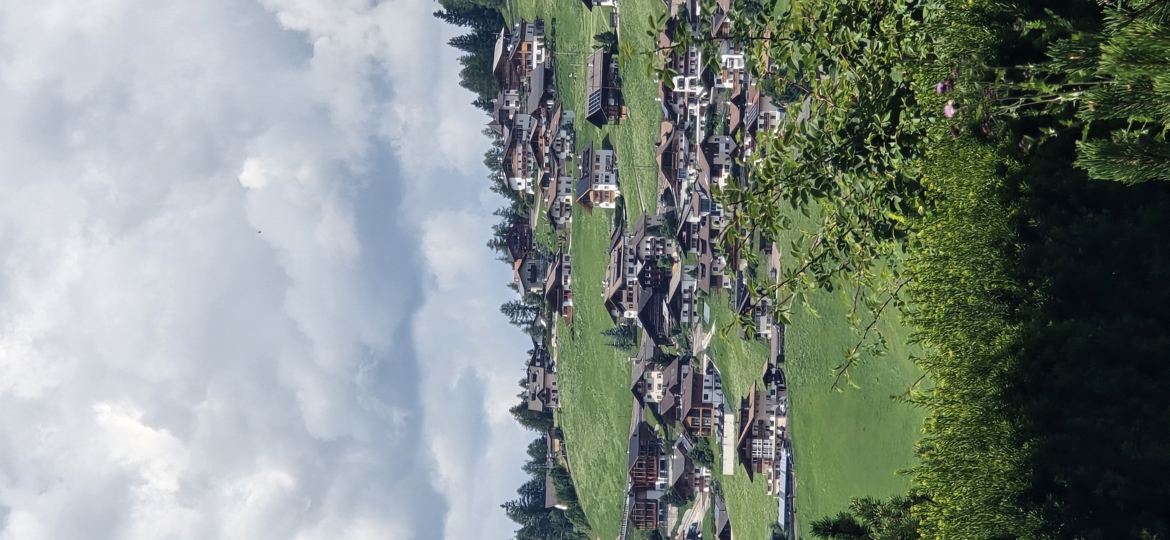 20250806_133234.jpg