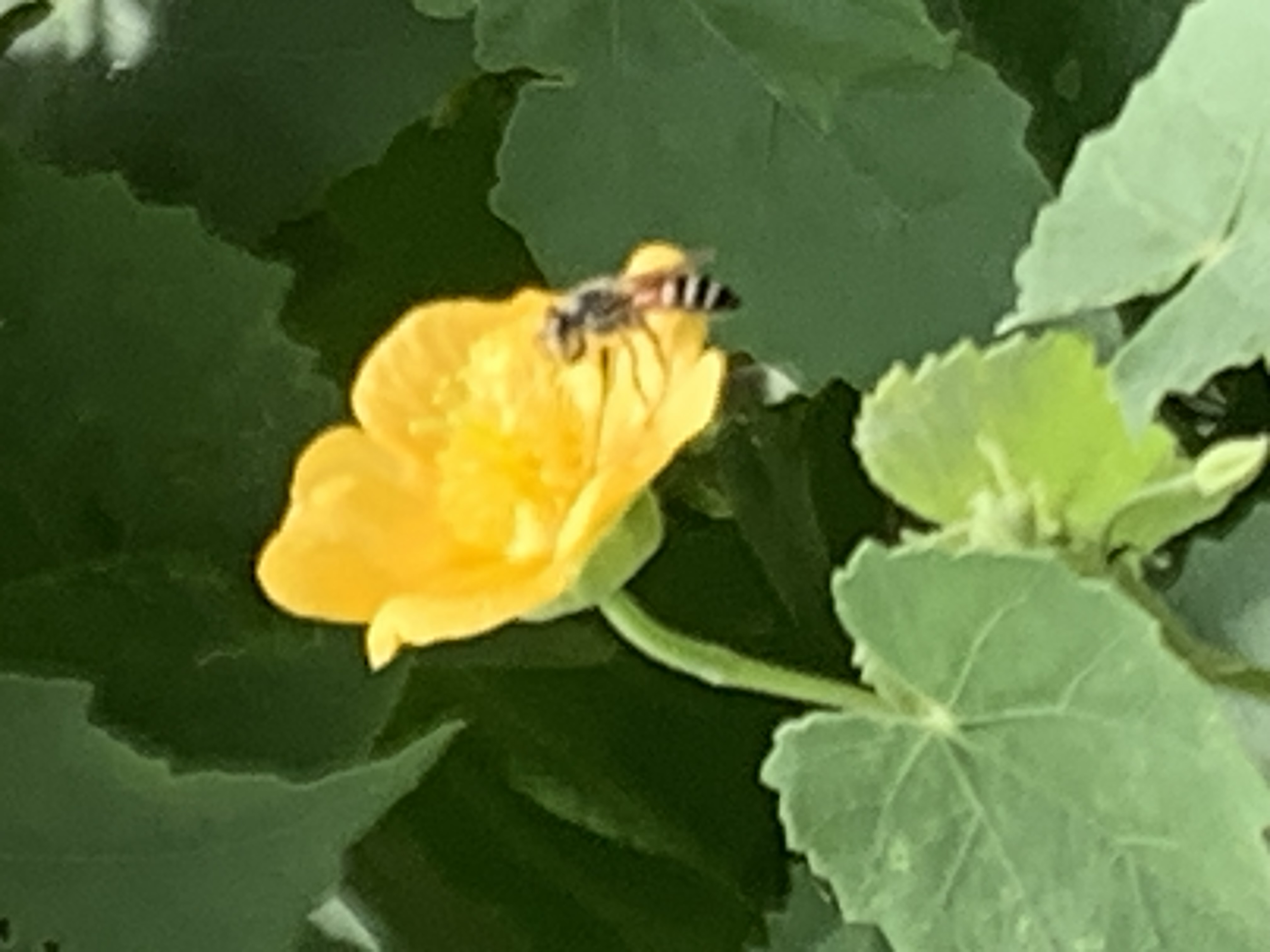 nature614.jpg