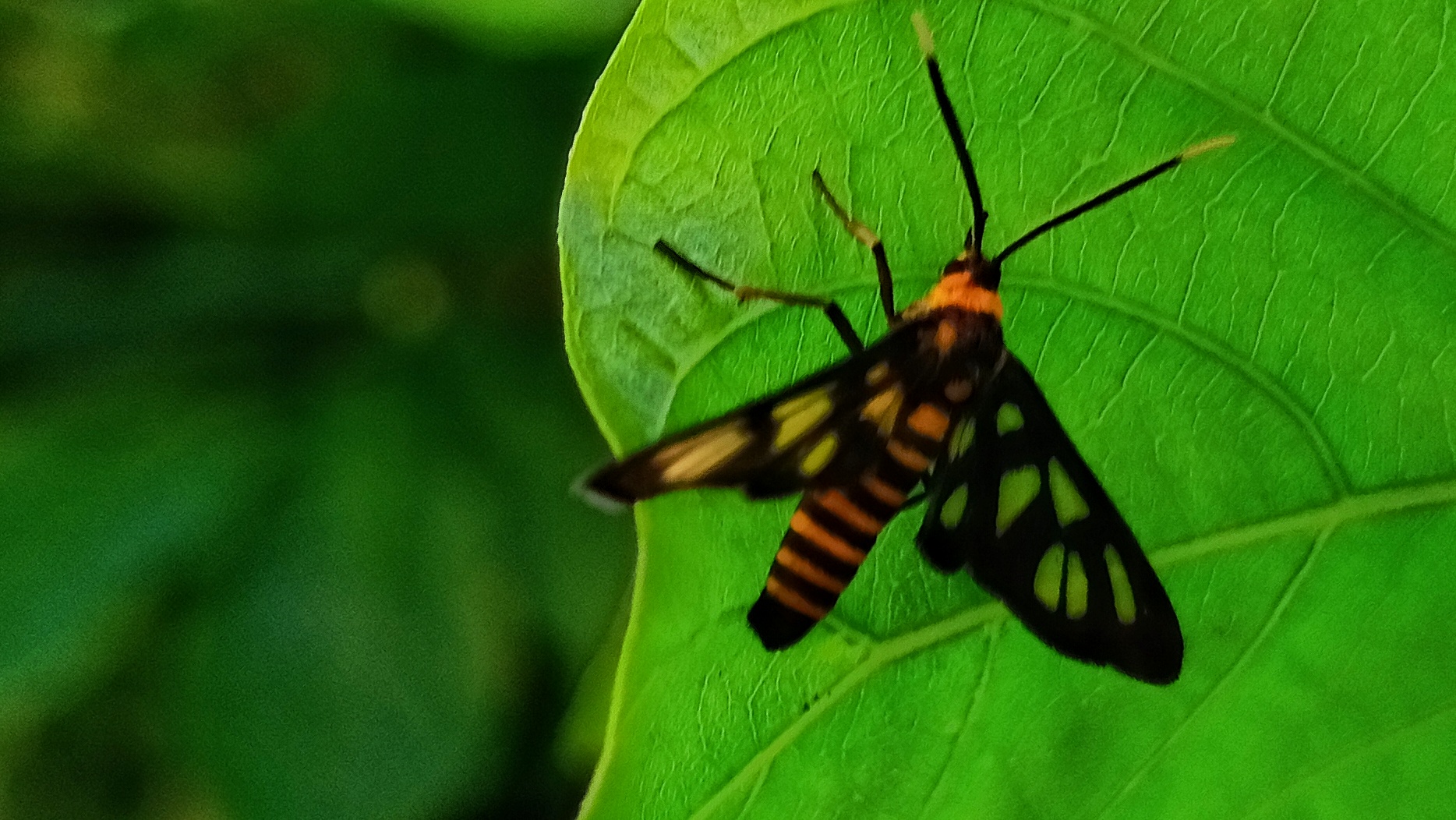 IMG_20200507_101034.jpg