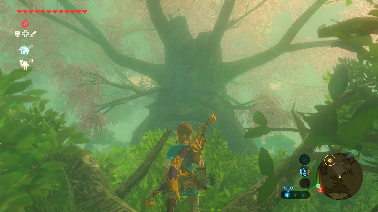 Zelda El Ancestral Bosque Kolog