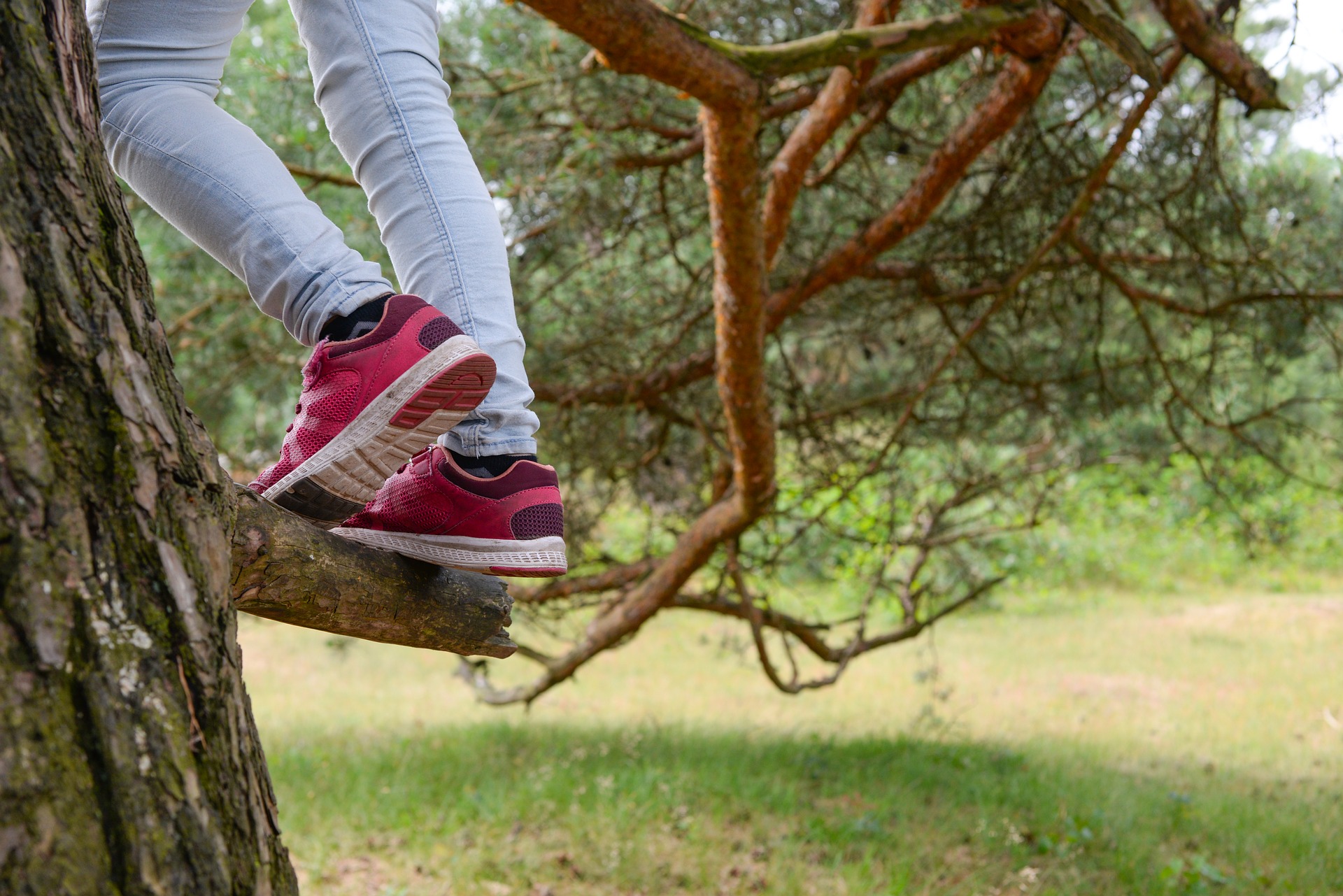 climbing-gbe327d424_1920.jpg