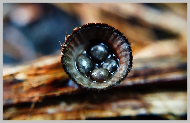@skil-photography.jpg