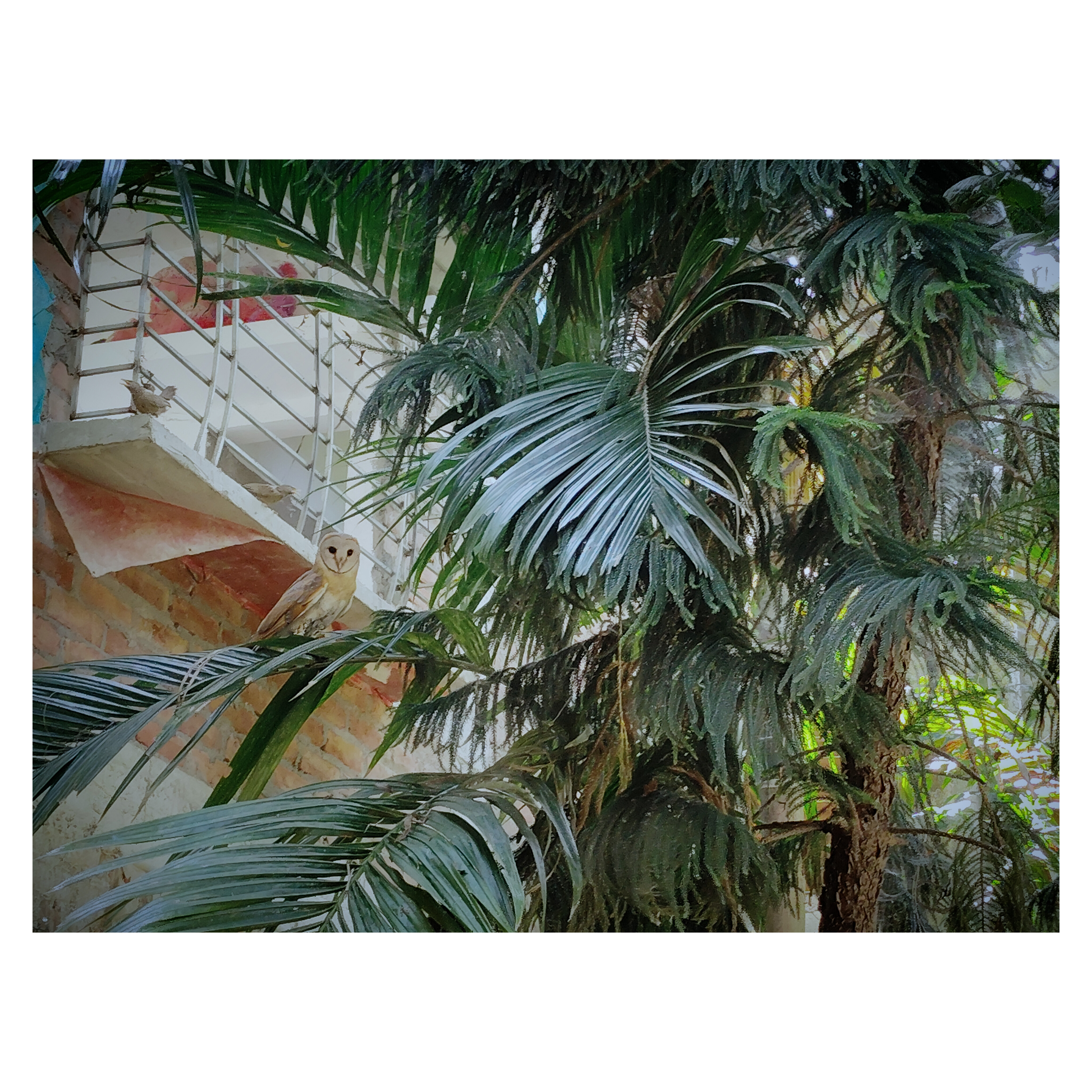InShot_20240210_221417614.jpg