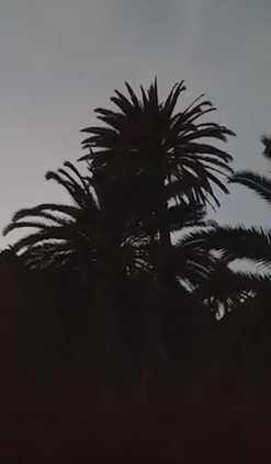 Screenshot_2020-03-13 13 03 2020 abends VGR - la gomera - YouTube.png