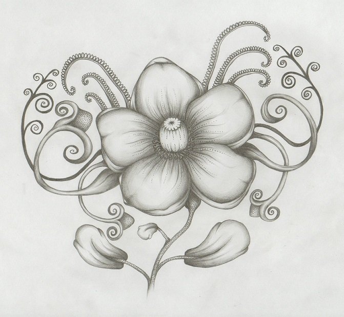 flowers1.jpg