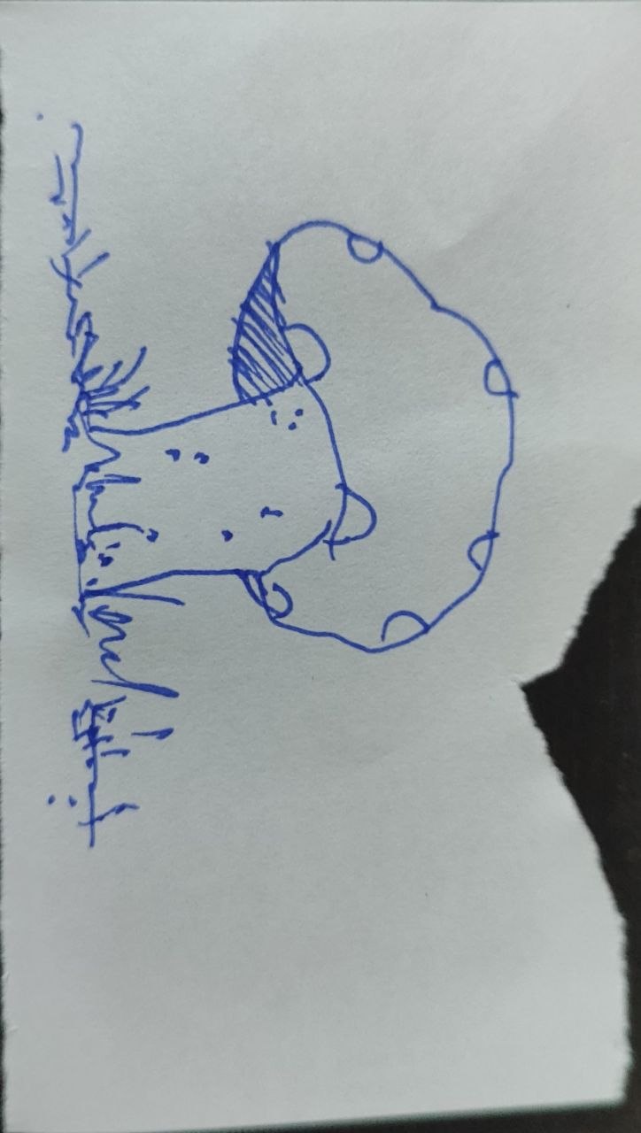 mushroom.jpg