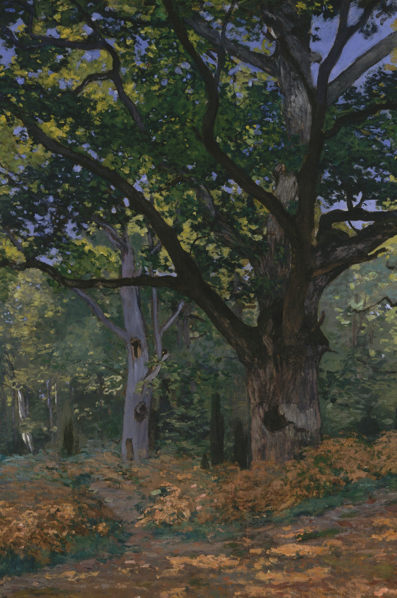 monet7_2.jpg