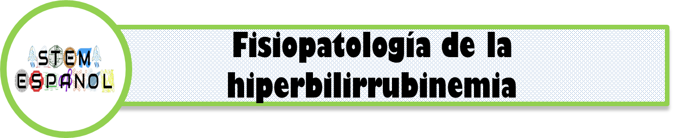 fisiopatologia.png