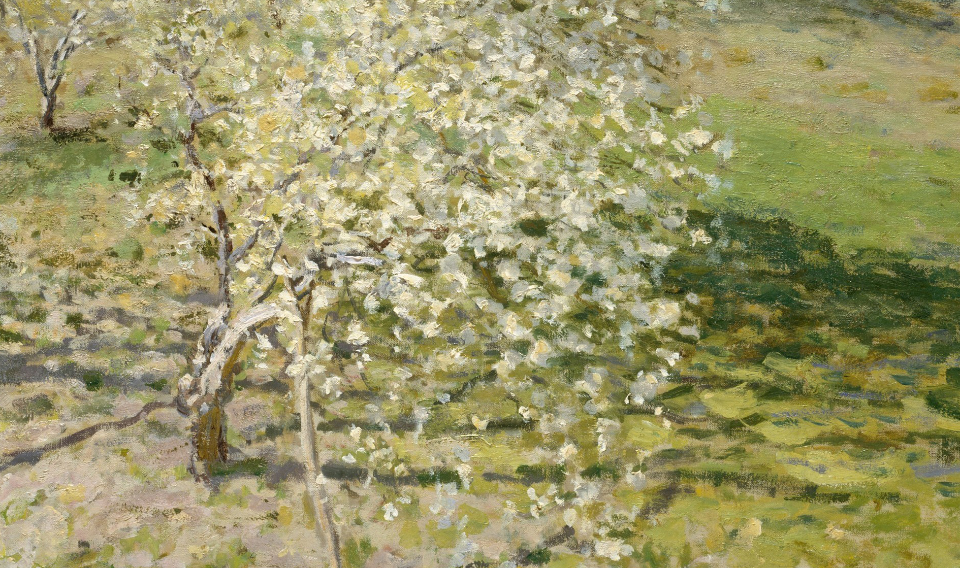 monet1_4.jpg